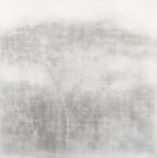 Amazonie  90 x 90 cm - Fusains