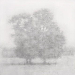 3 arbres   90 x 90 cm - Fusains